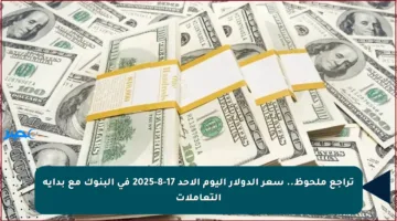 تراجع ملحوظ.. سعر الدولار اليوم الأحد 17-8-2025 في البنوك مع بداية التعاملات